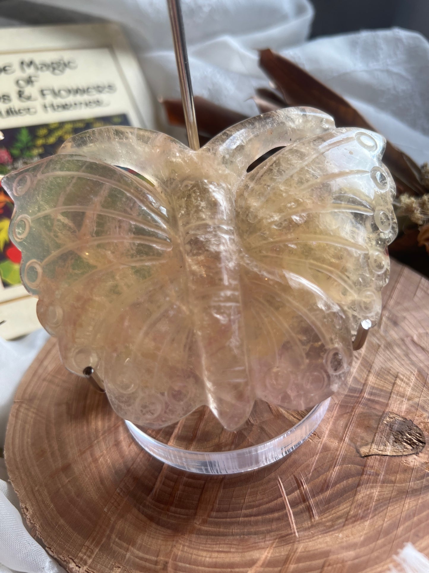 Fluorite butterfly shaped display crystal with stand C