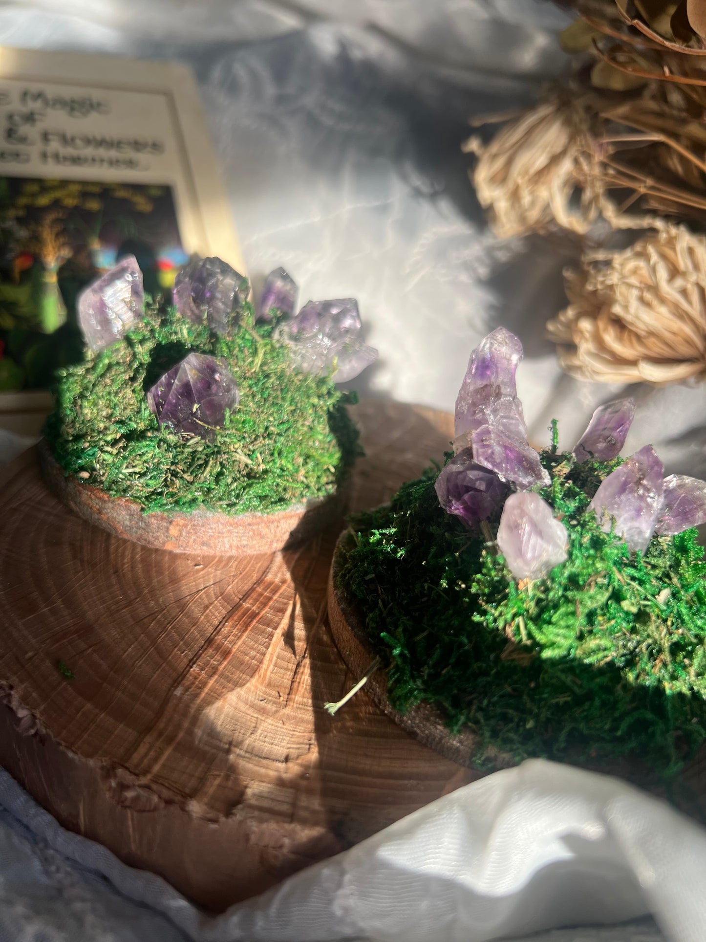 Mini Amethyst Crystal point Fairy Mountain