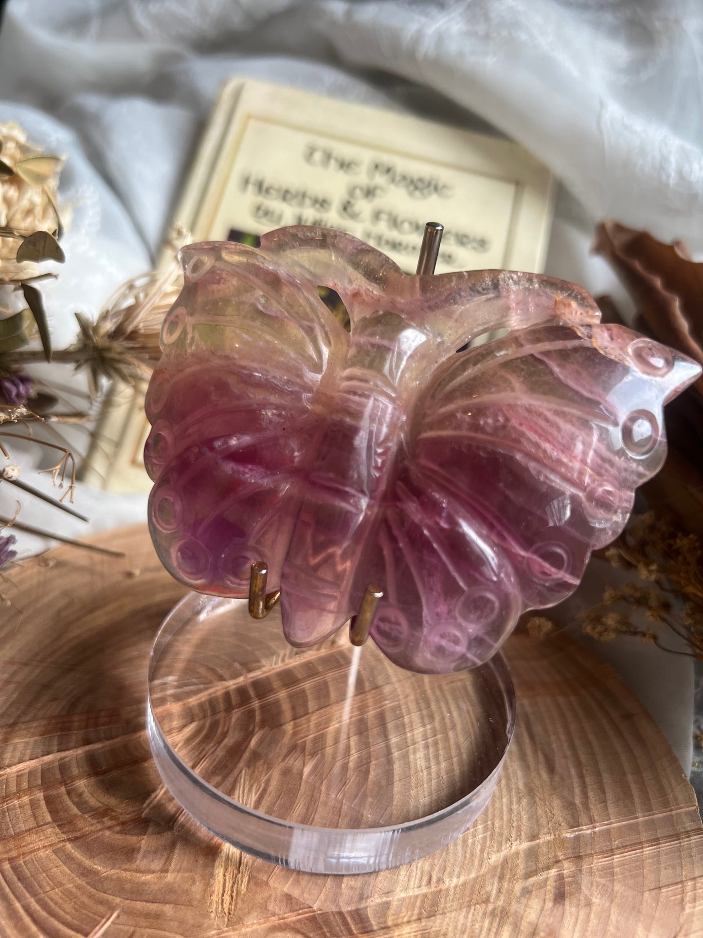 Fluorite butterfly shaped display crystal with stand B