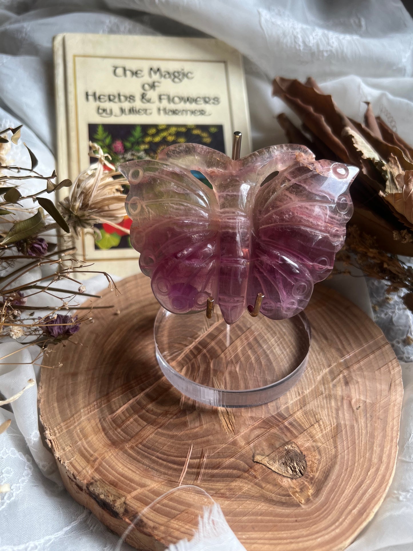 Fluorite butterfly shaped display crystal with stand B