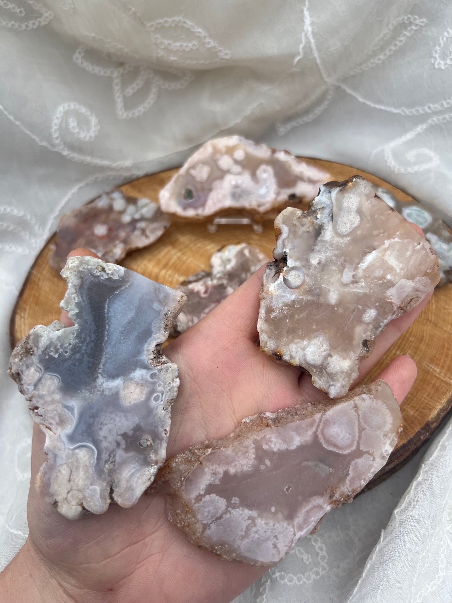 half polished flower agate slabs
