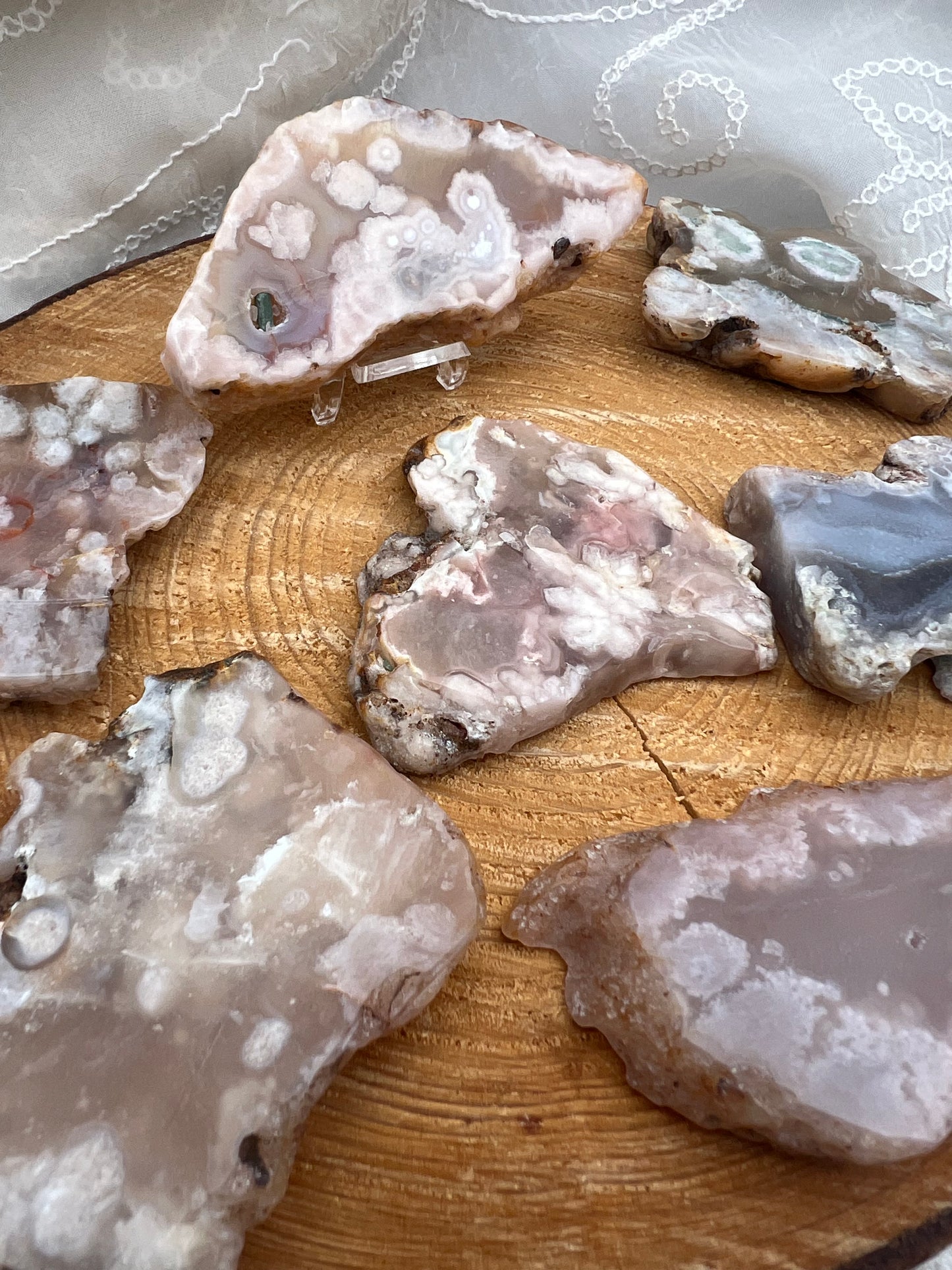 half polished flower agate slabs