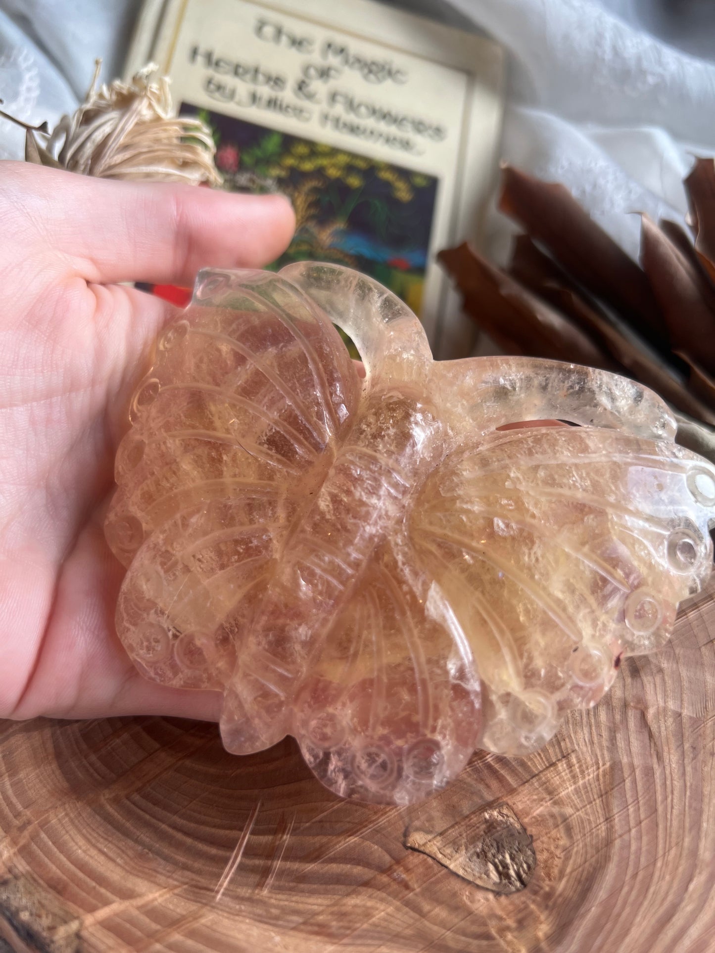 Fluorite butterfly shaped display crystal with stand C