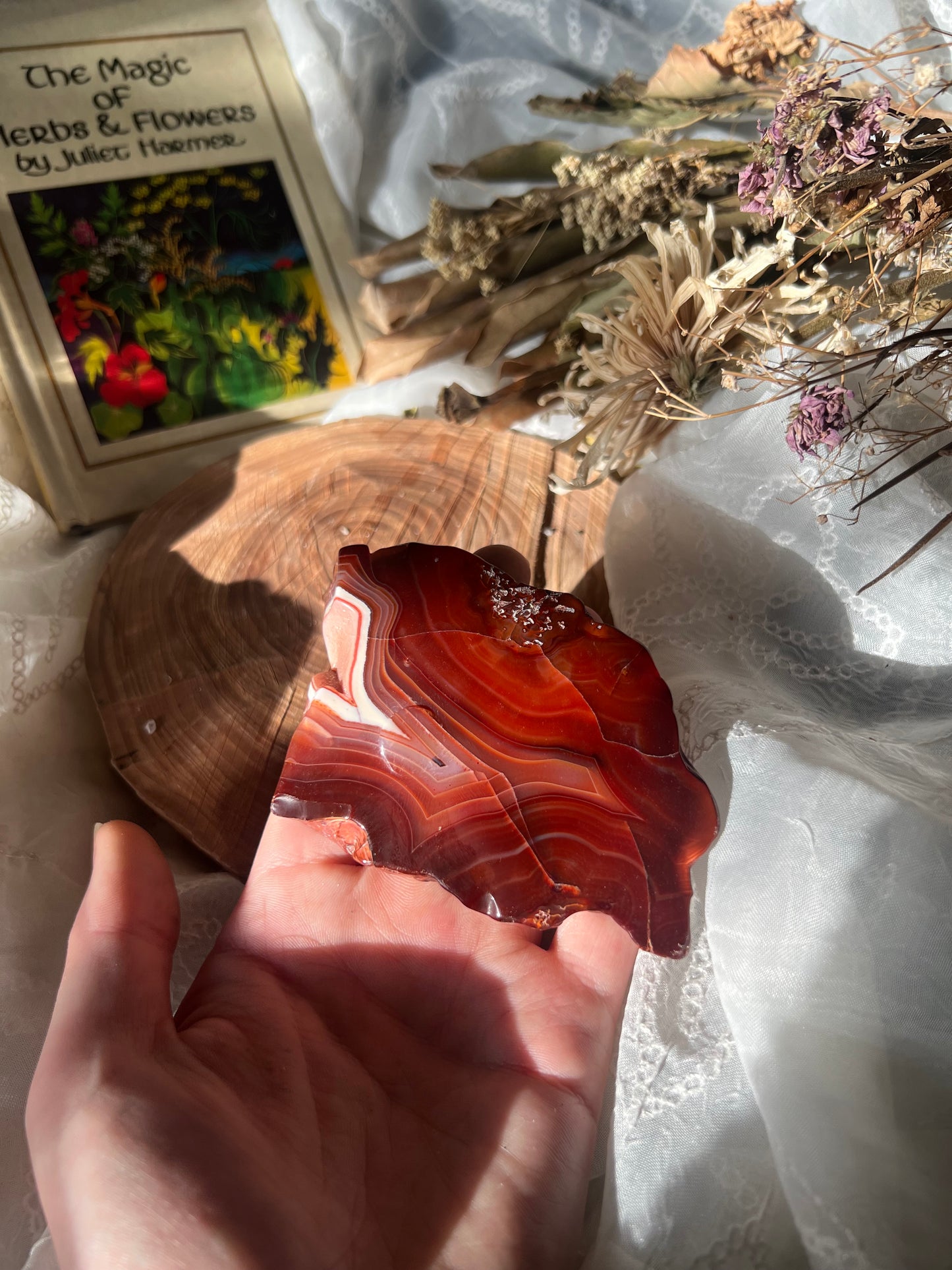 half polished carnelian slabs
