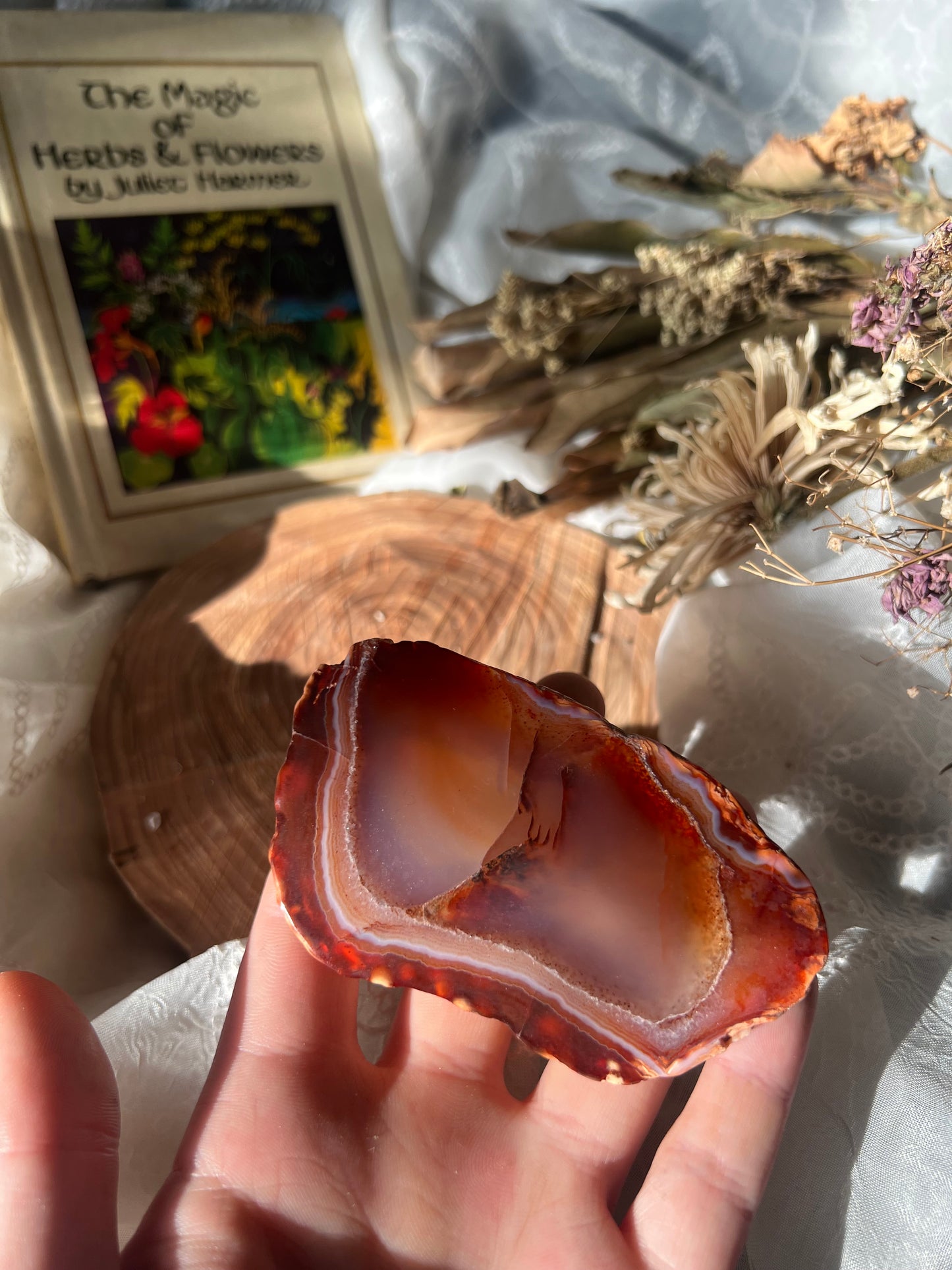 half polished carnelian slabs