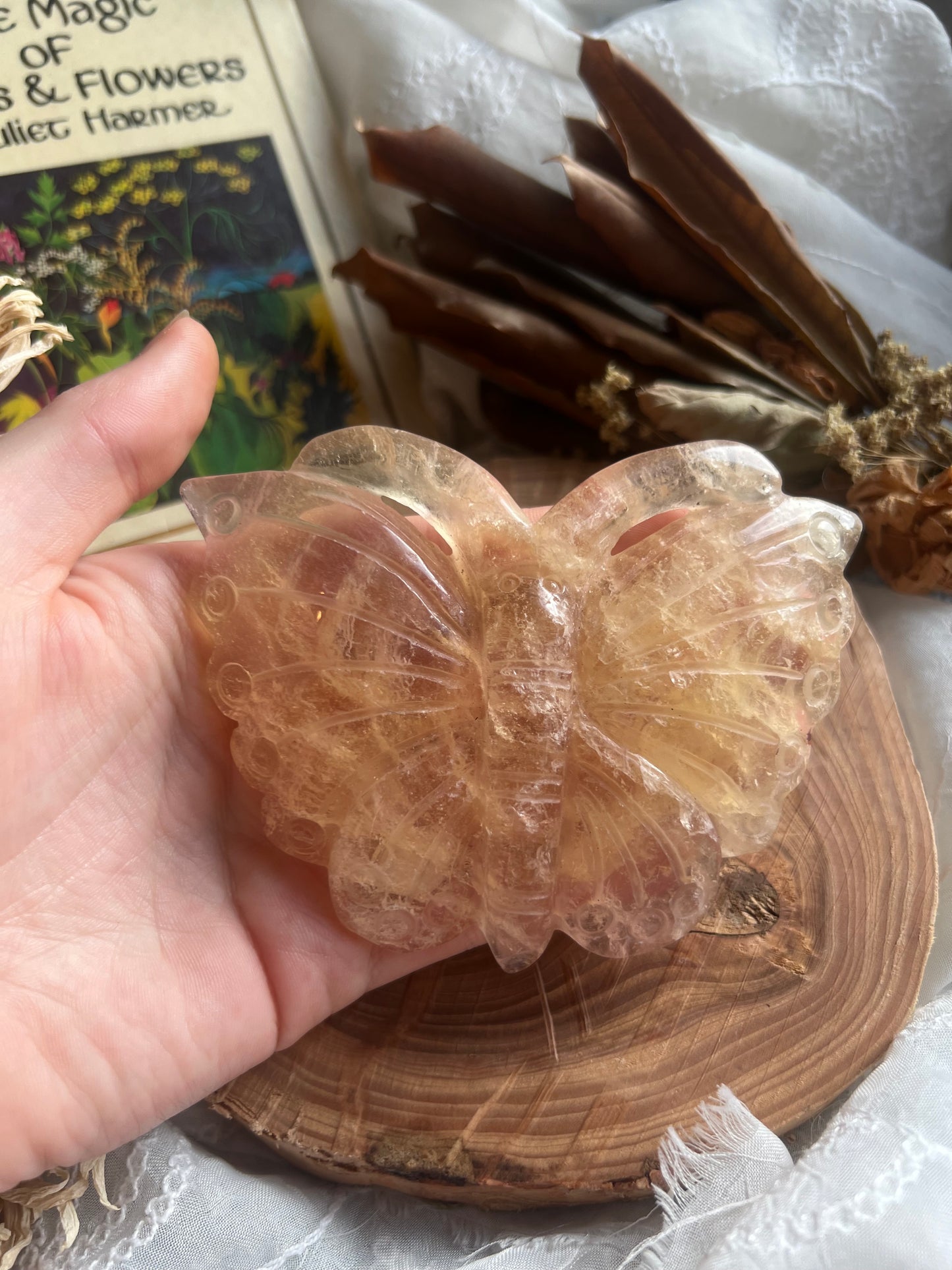 Fluorite butterfly shaped display crystal with stand C