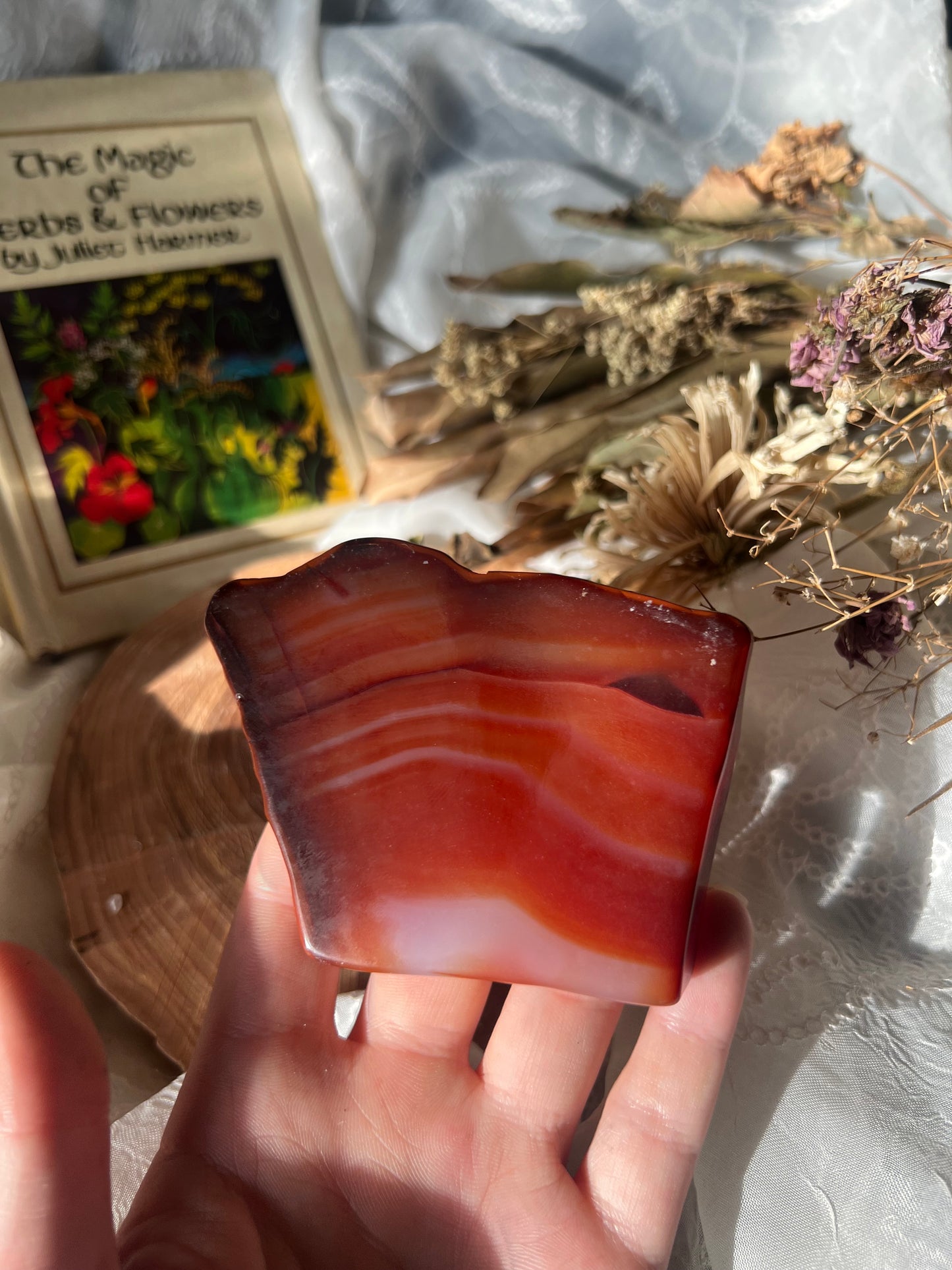 half polished carnelian slabs