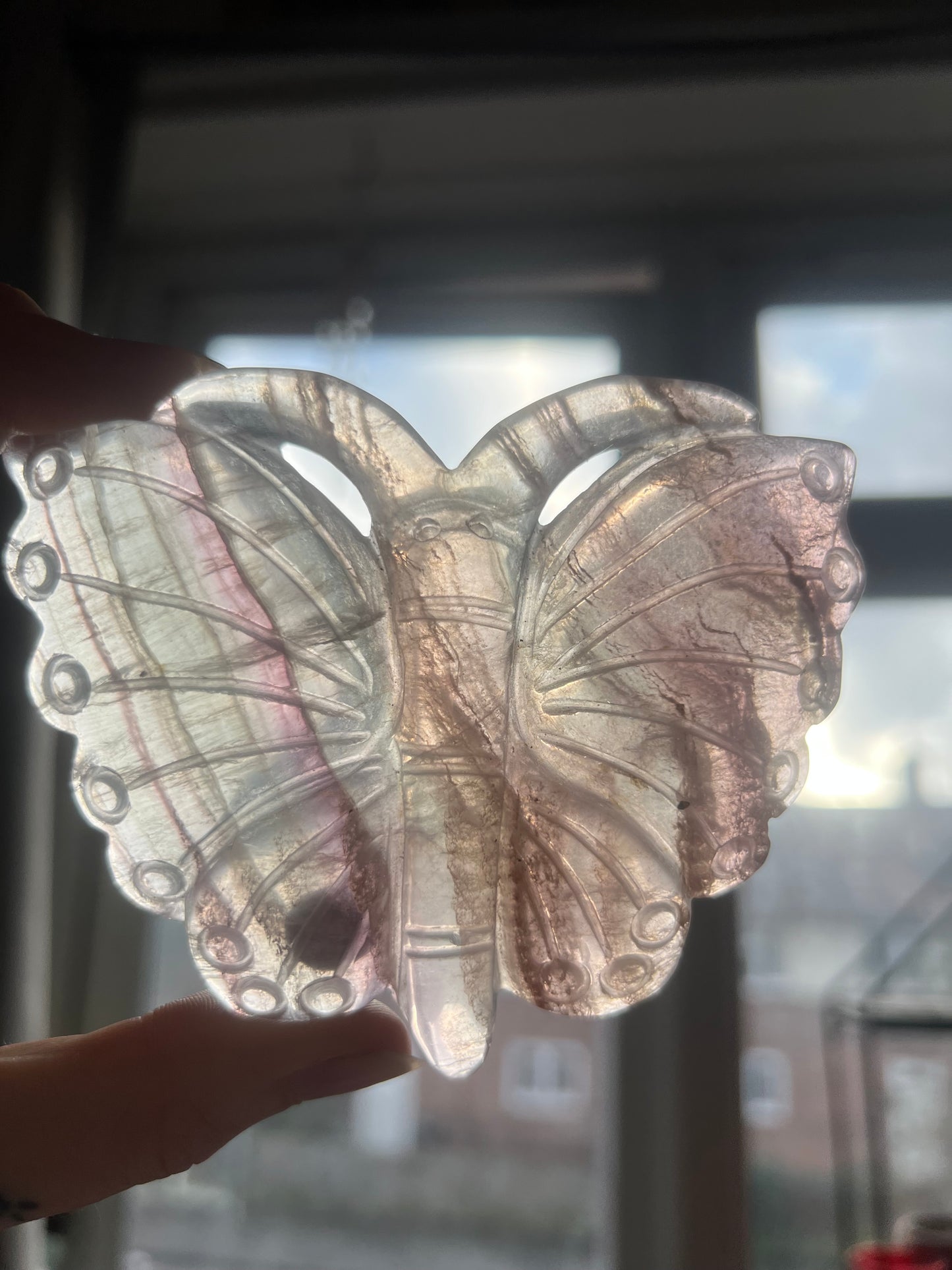 Fluorite butterfly shaped display crystal with stand A