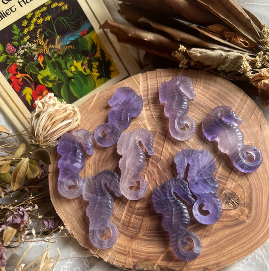 small fluorite sea horse carvings