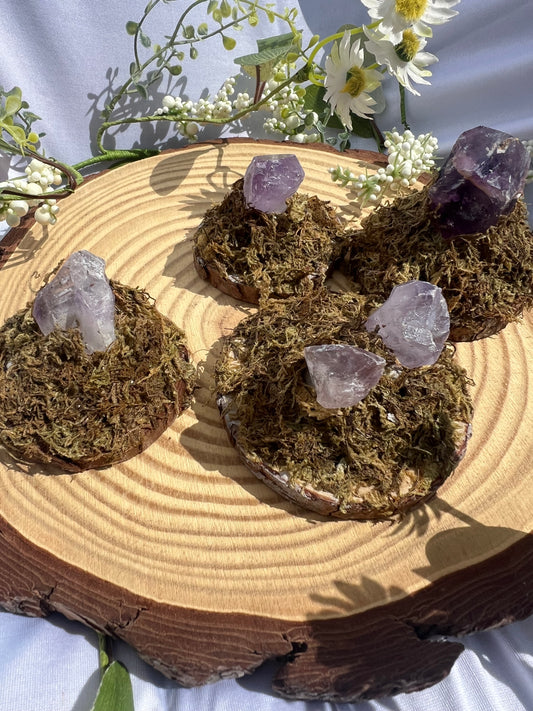 Mini Amethyst Crystal point Fairy Mountain