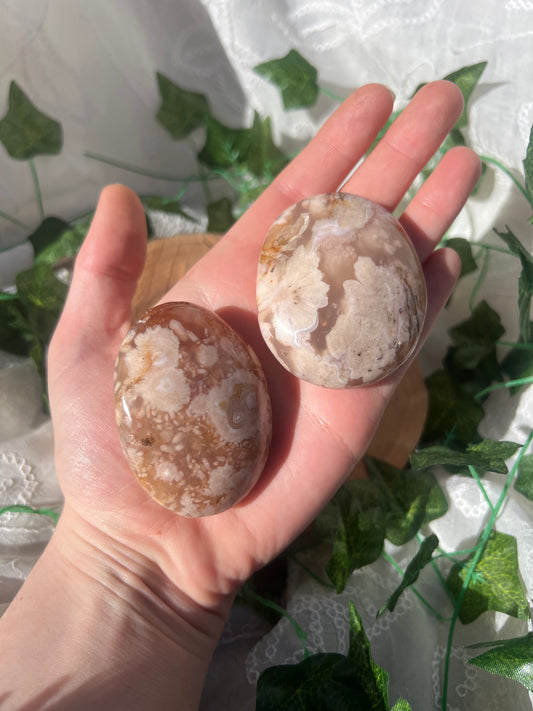 flower agate palm stone/pebbles
